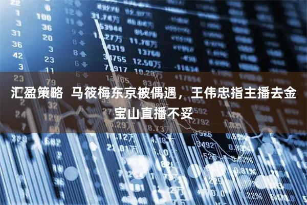 汇盈策略  马筱梅东京被偶遇，王伟忠指主播去金宝山直播不妥