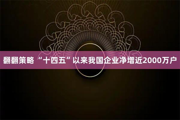翻翻策略 “十四五”以来我国企业净增近2000万户