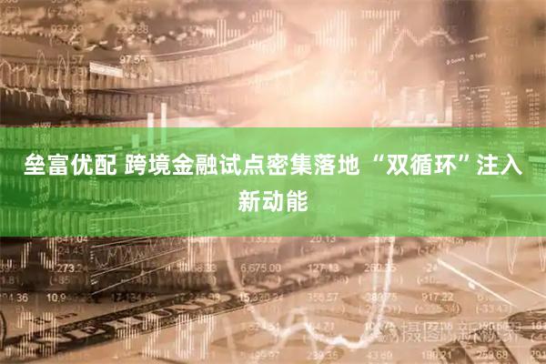 垒富优配 跨境金融试点密集落地 “双循环”注入新动能