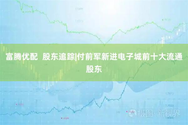富腾优配  股东追踪|付前军新进电子城前十大流通股东