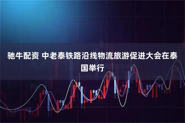 驰牛配资 中老泰铁路沿线物流旅游促进大会在泰国举行