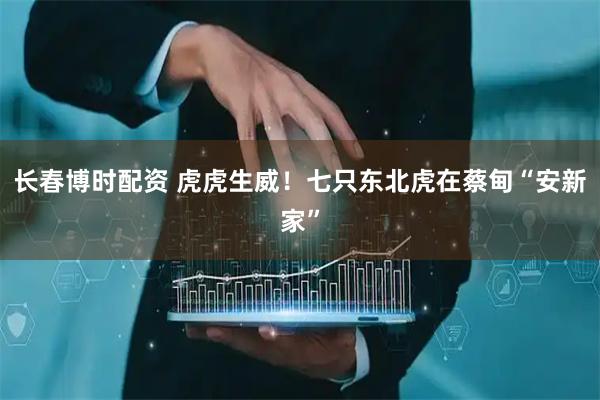 长春博时配资 虎虎生威！七只东北虎在蔡甸“安新家”