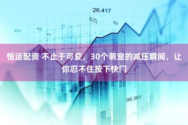 恒运配资 不止于可爱，30个萌宠的减压瞬间，让你忍不住按下快门