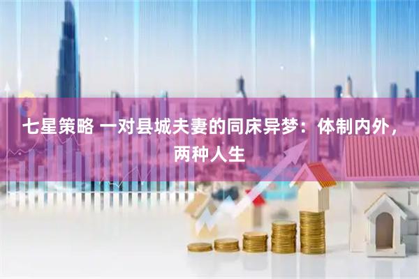 七星策略 一对县城夫妻的同床异梦：体制内外，两种人生